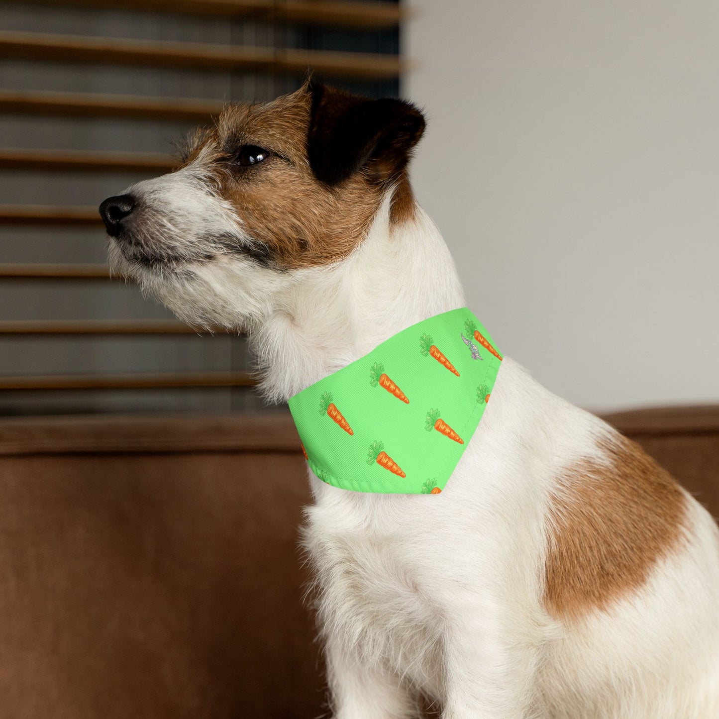 Carrot Pet Bandana Collar