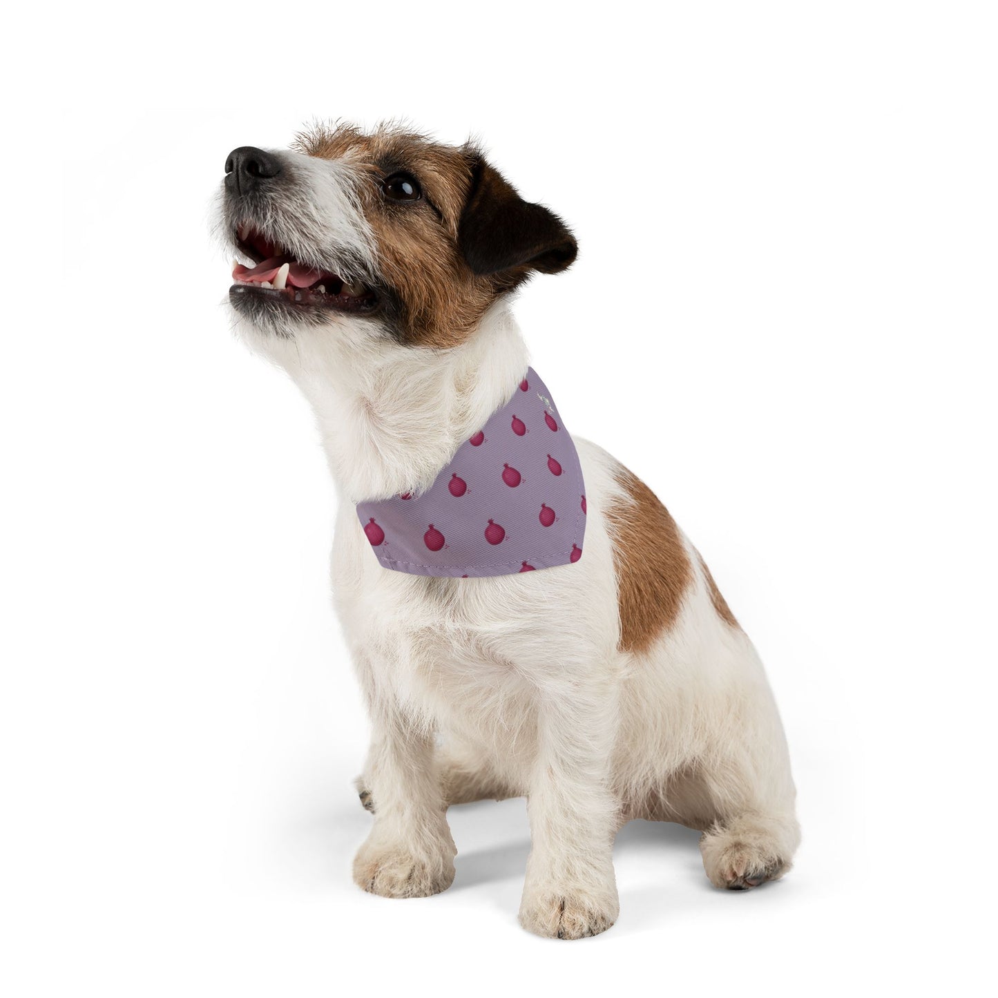 Pomegranate Pet Bandana Collar