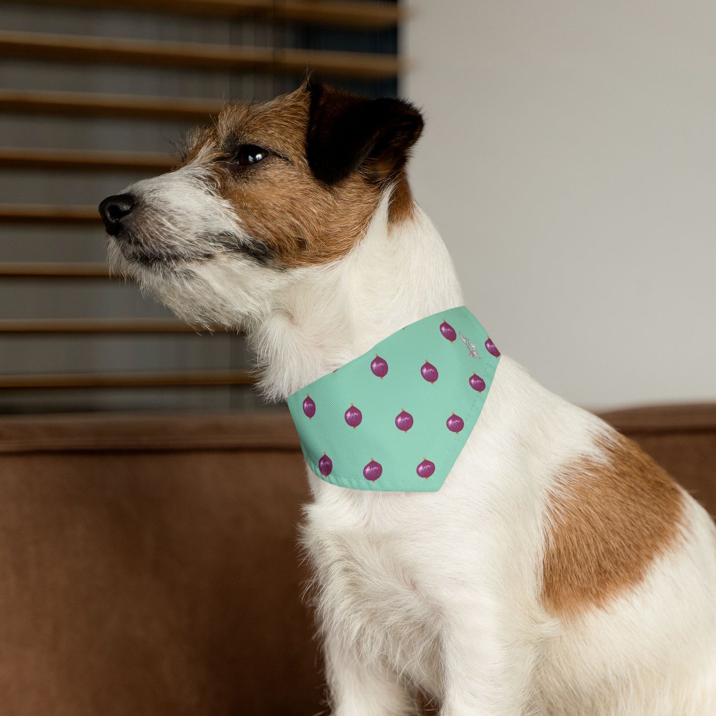 Onion Pet Bandana Collar