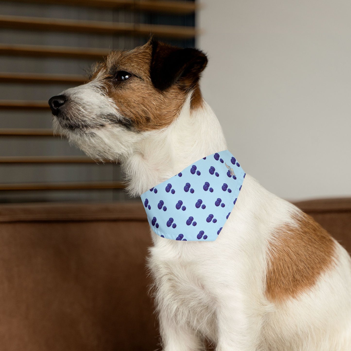 Blueberry Pet Bandana Collar