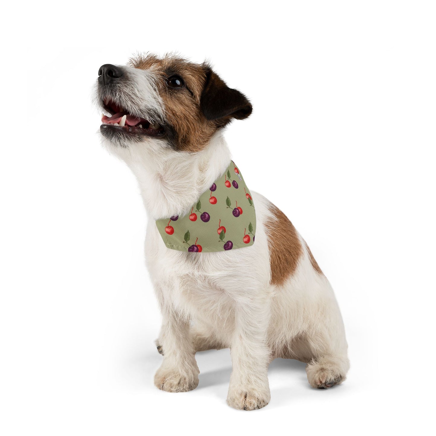 Cherry Pet Bandana Collar