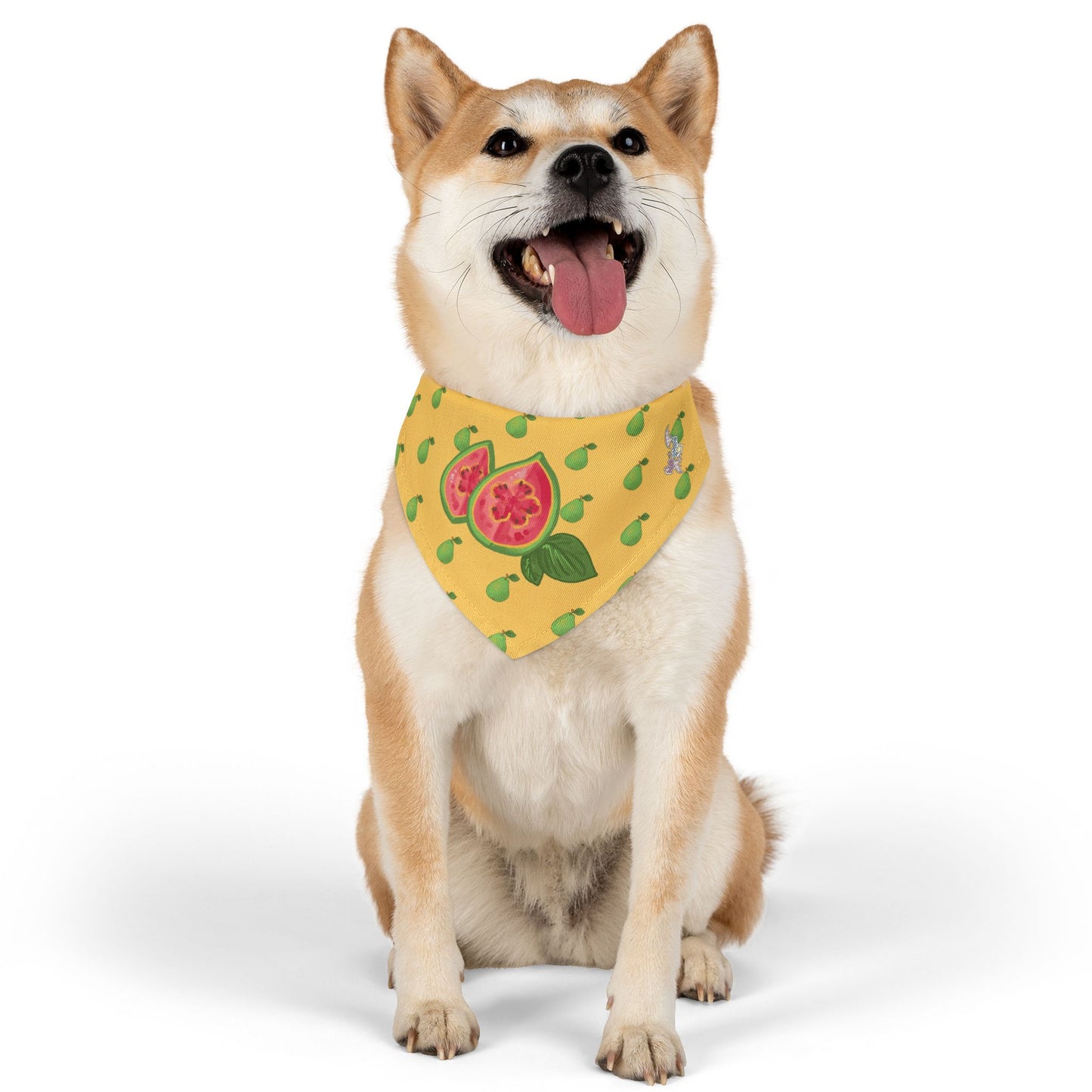 Guava Pet Bandana Collar