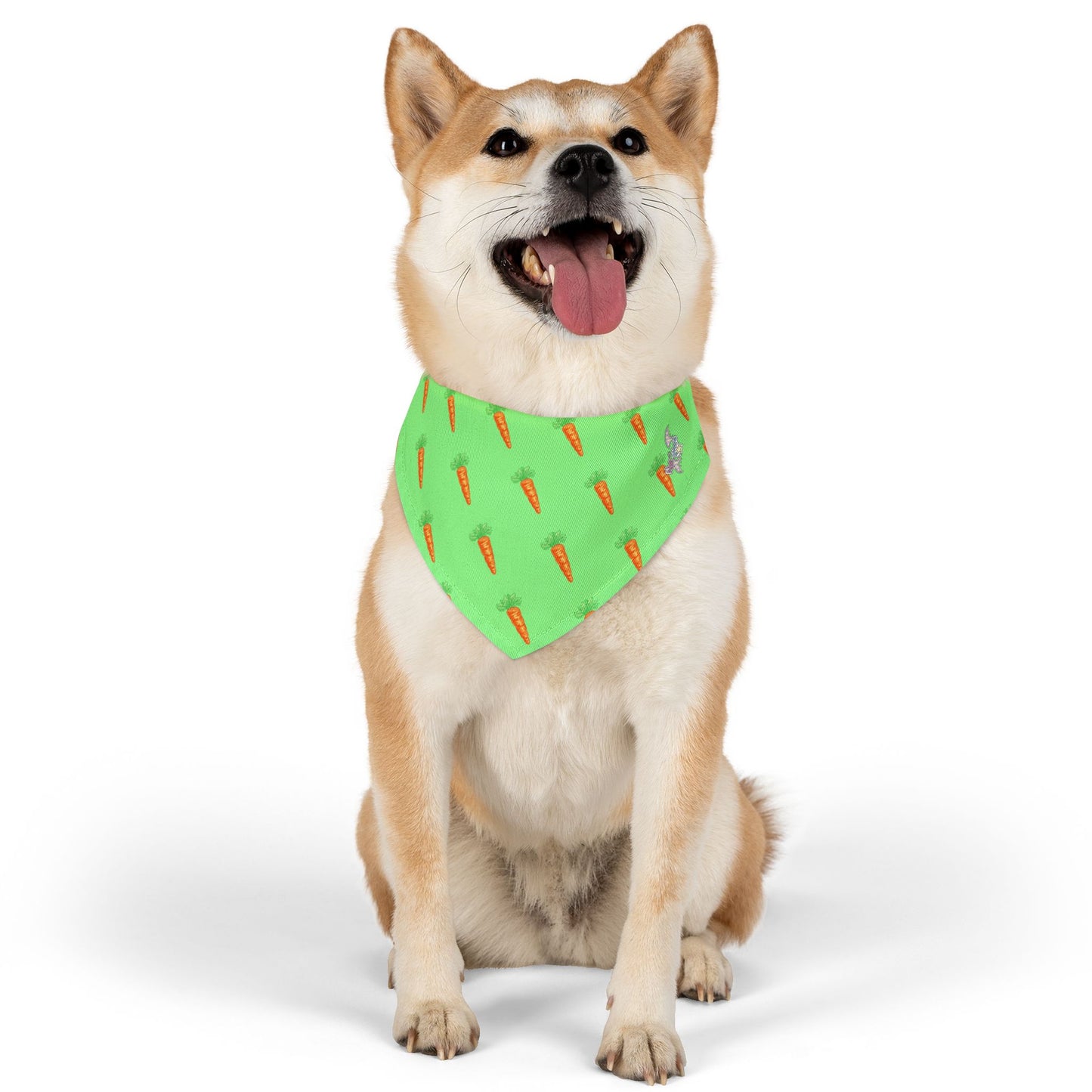 Carrot Pet Bandana Collar