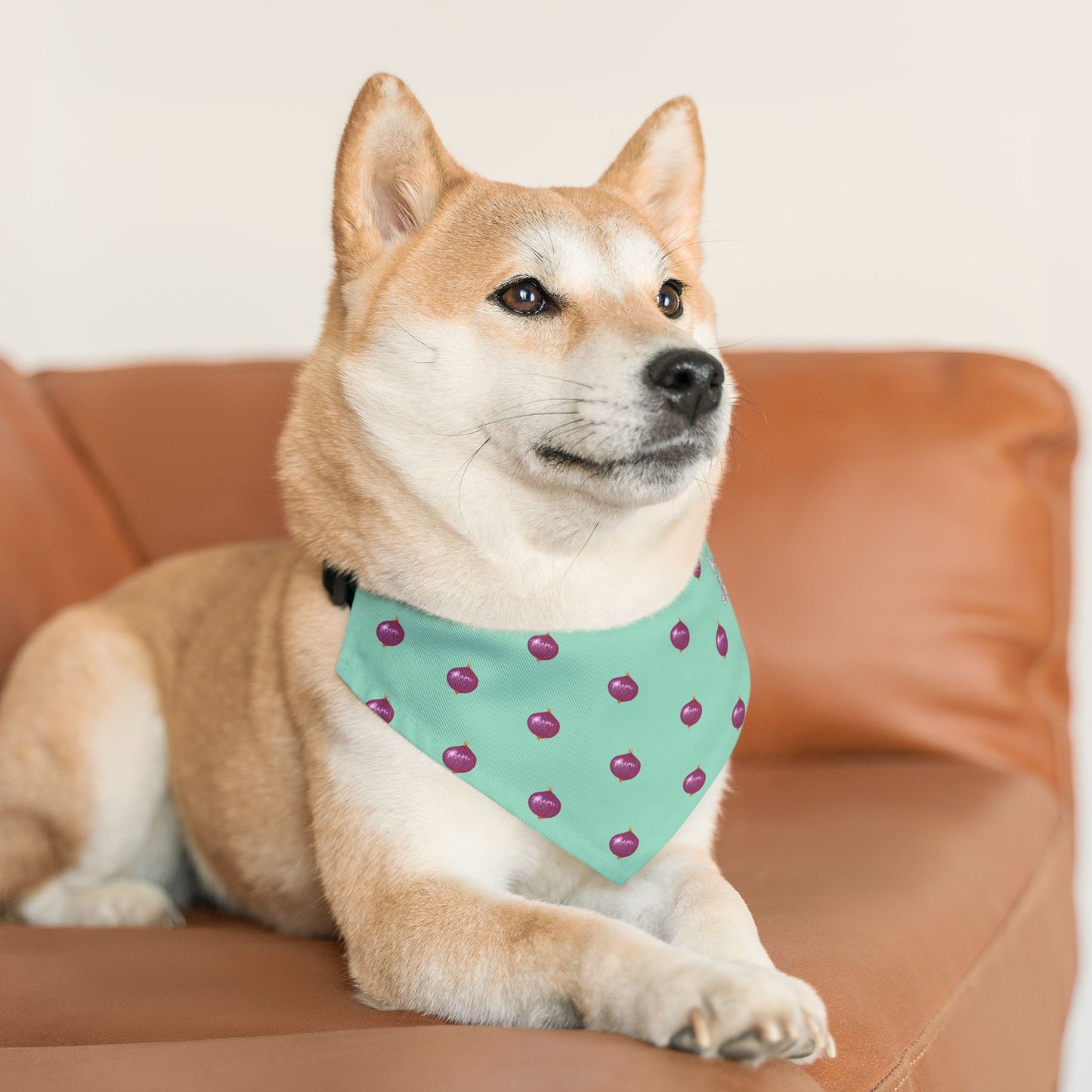 Onion Pet Bandana Collar