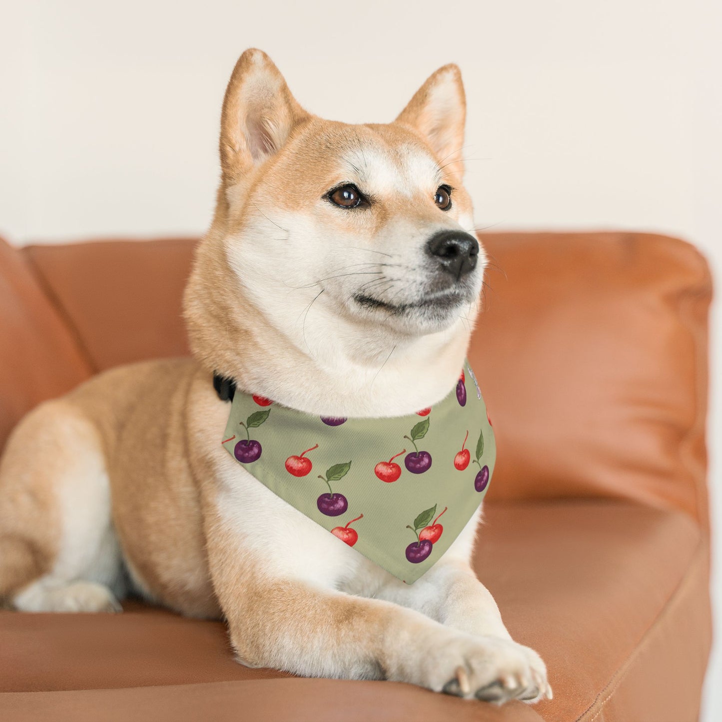 Cherry Pet Bandana Collar