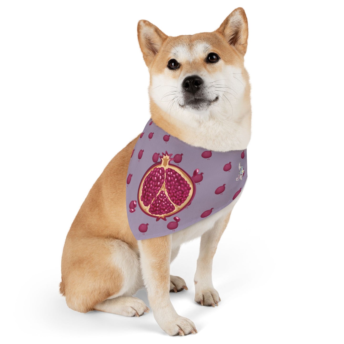 Pomegranate Pet Bandana Collar