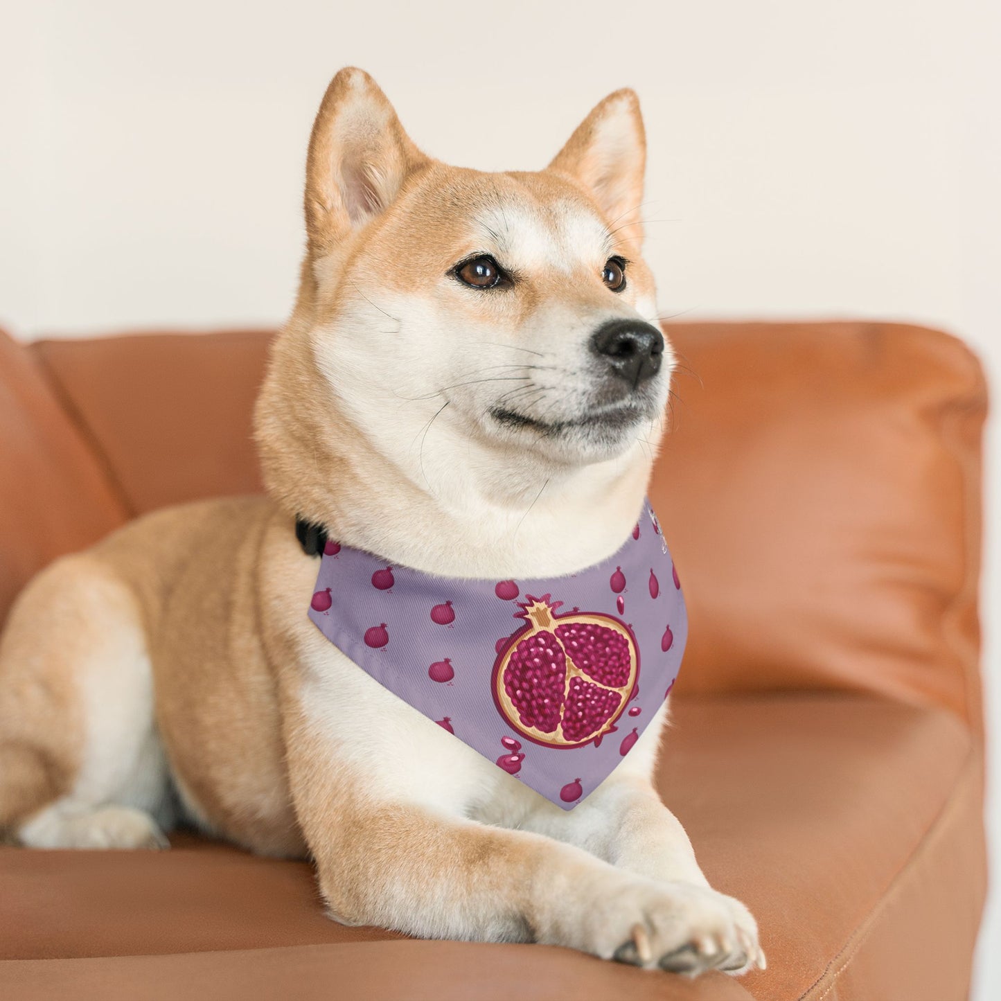 Pomegranate Pet Bandana Collar