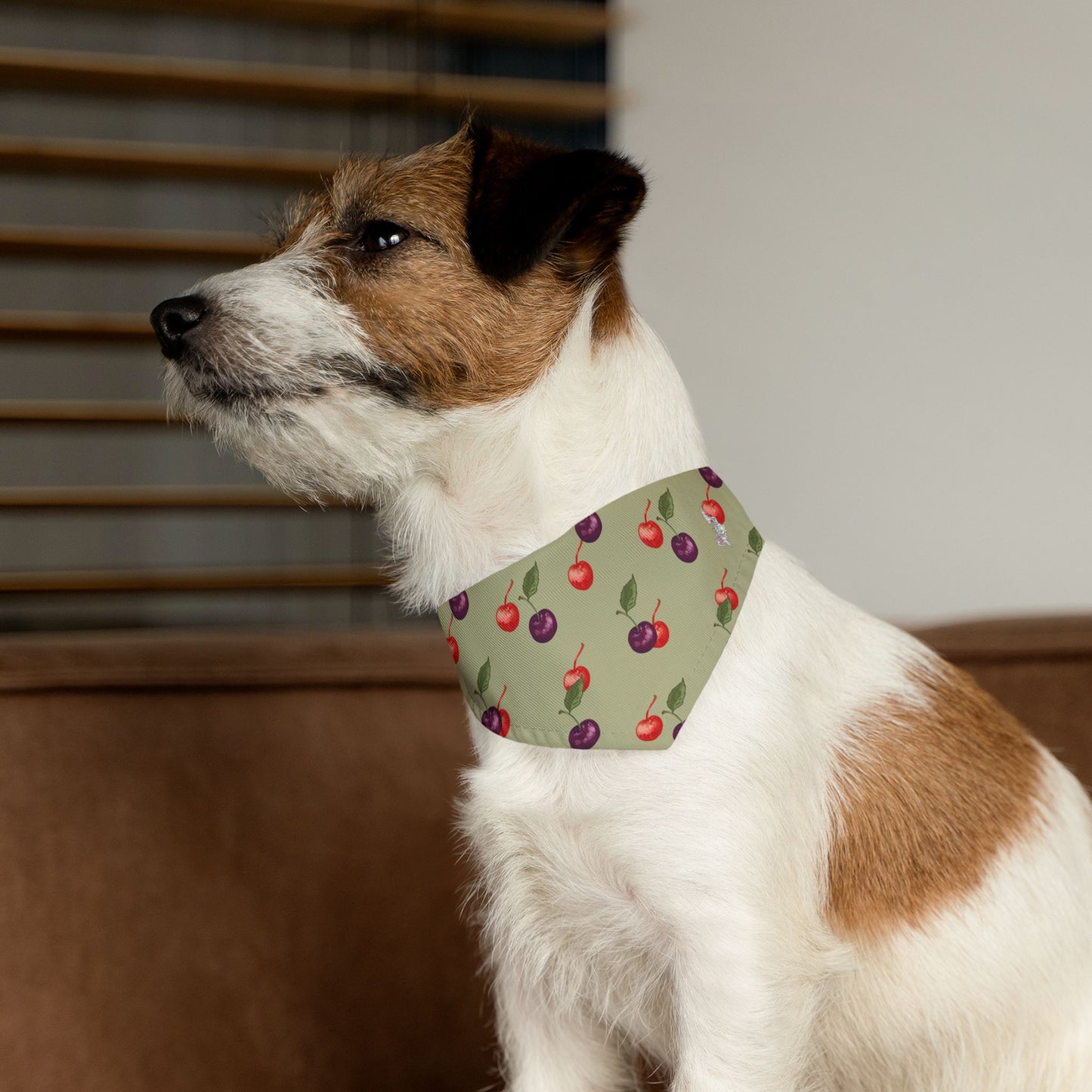 Cherry Pet Bandana Collar