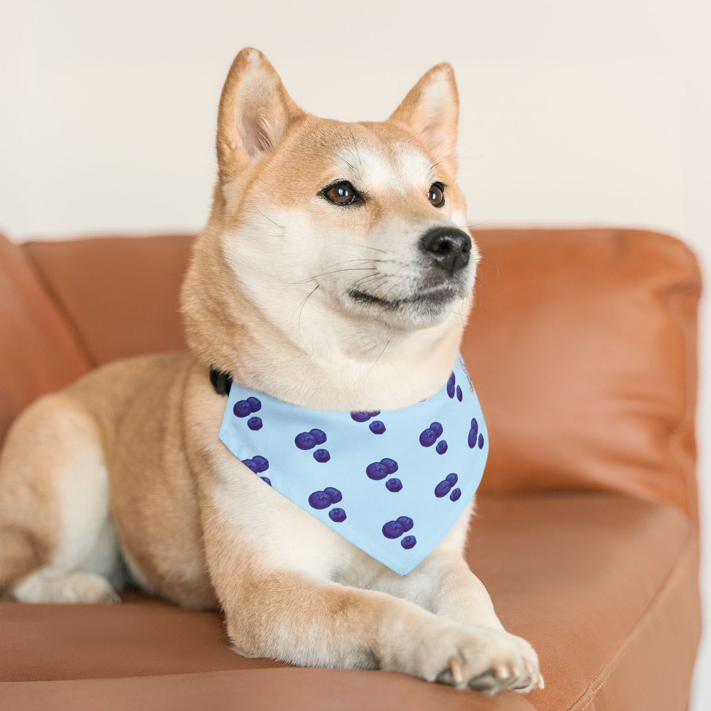 Blueberry Pet Bandana Collar