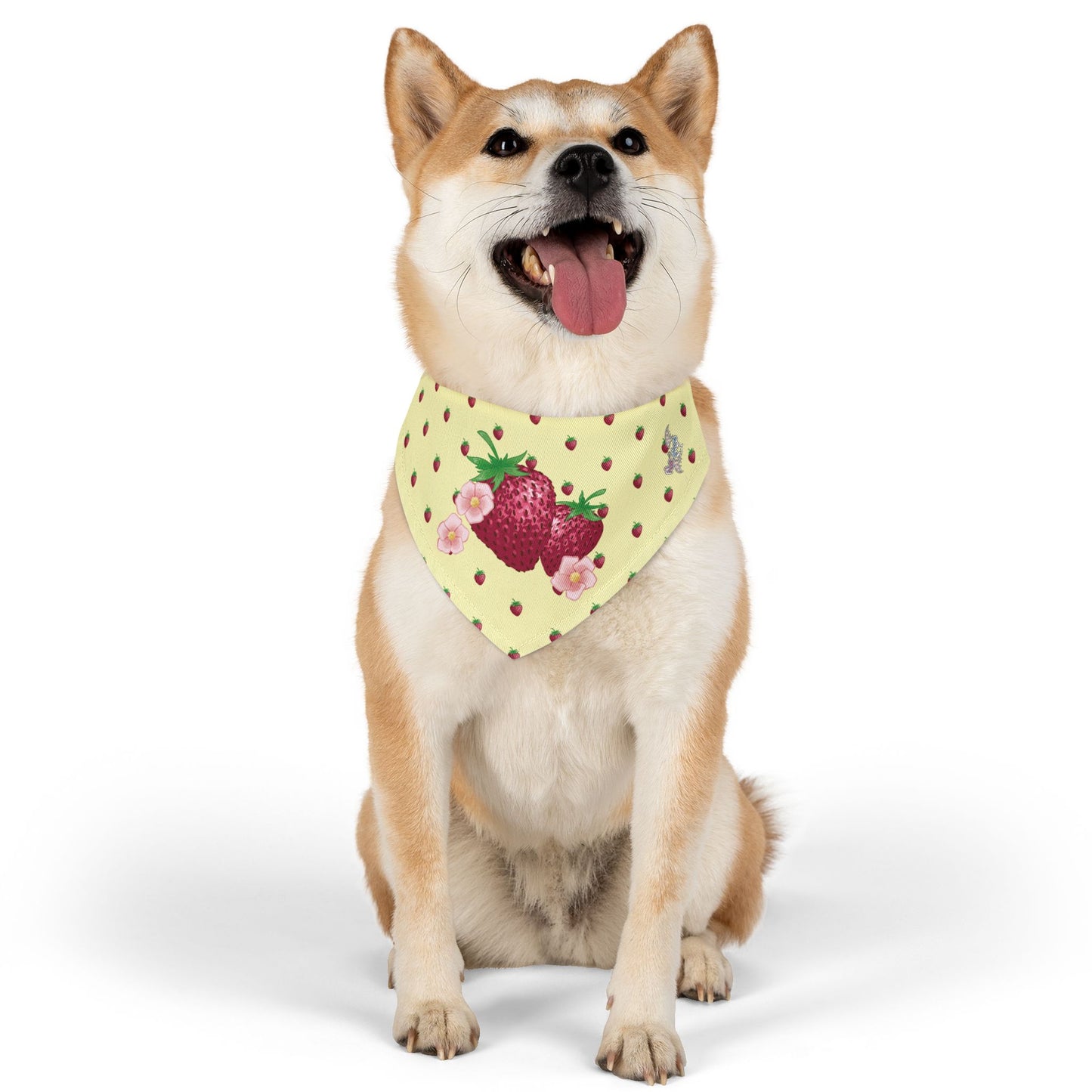 Strawberry Pet Bandana Collar