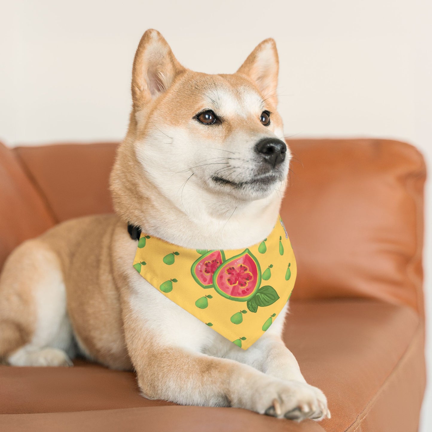 Guava Pet Bandana Collar