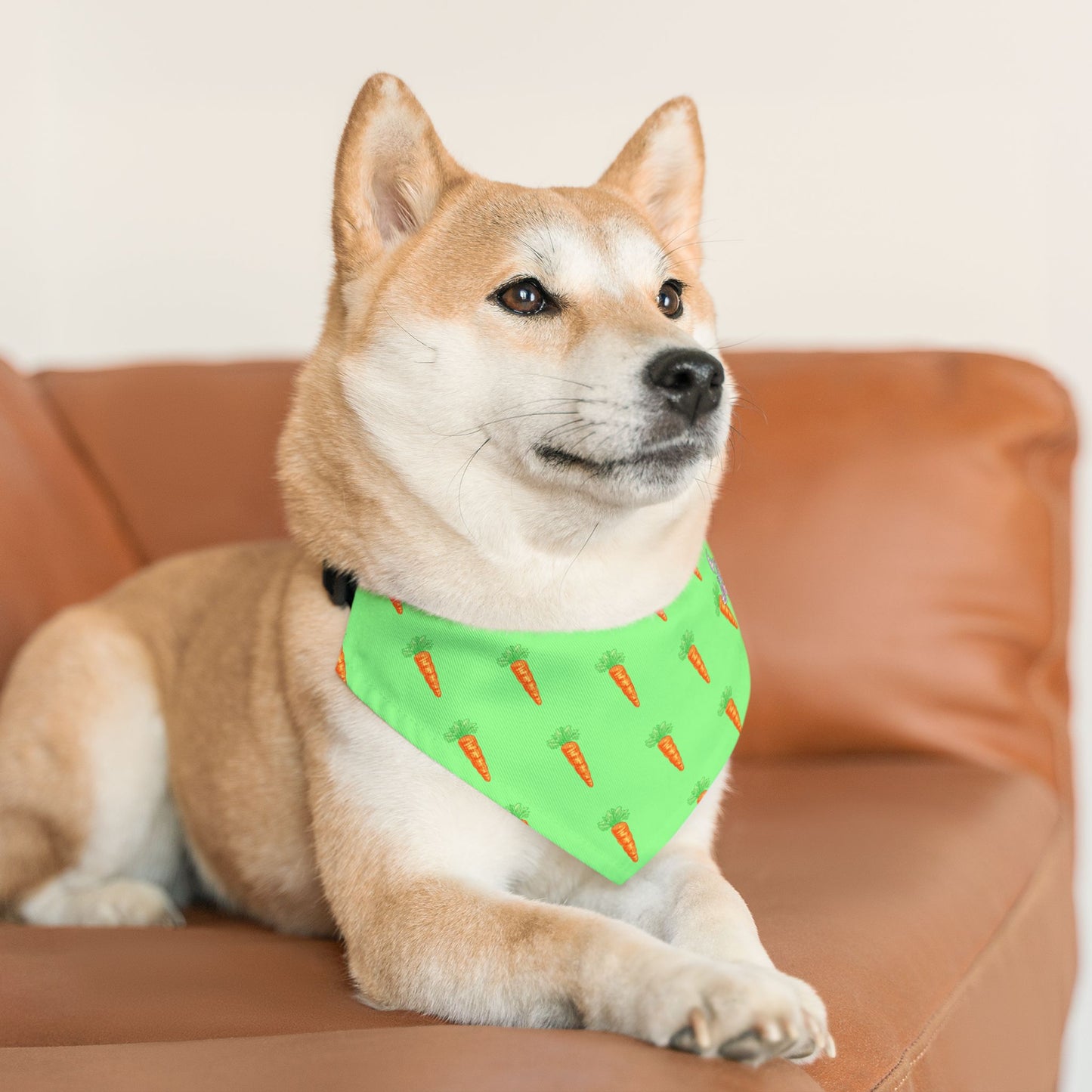 Carrot Pet Bandana Collar