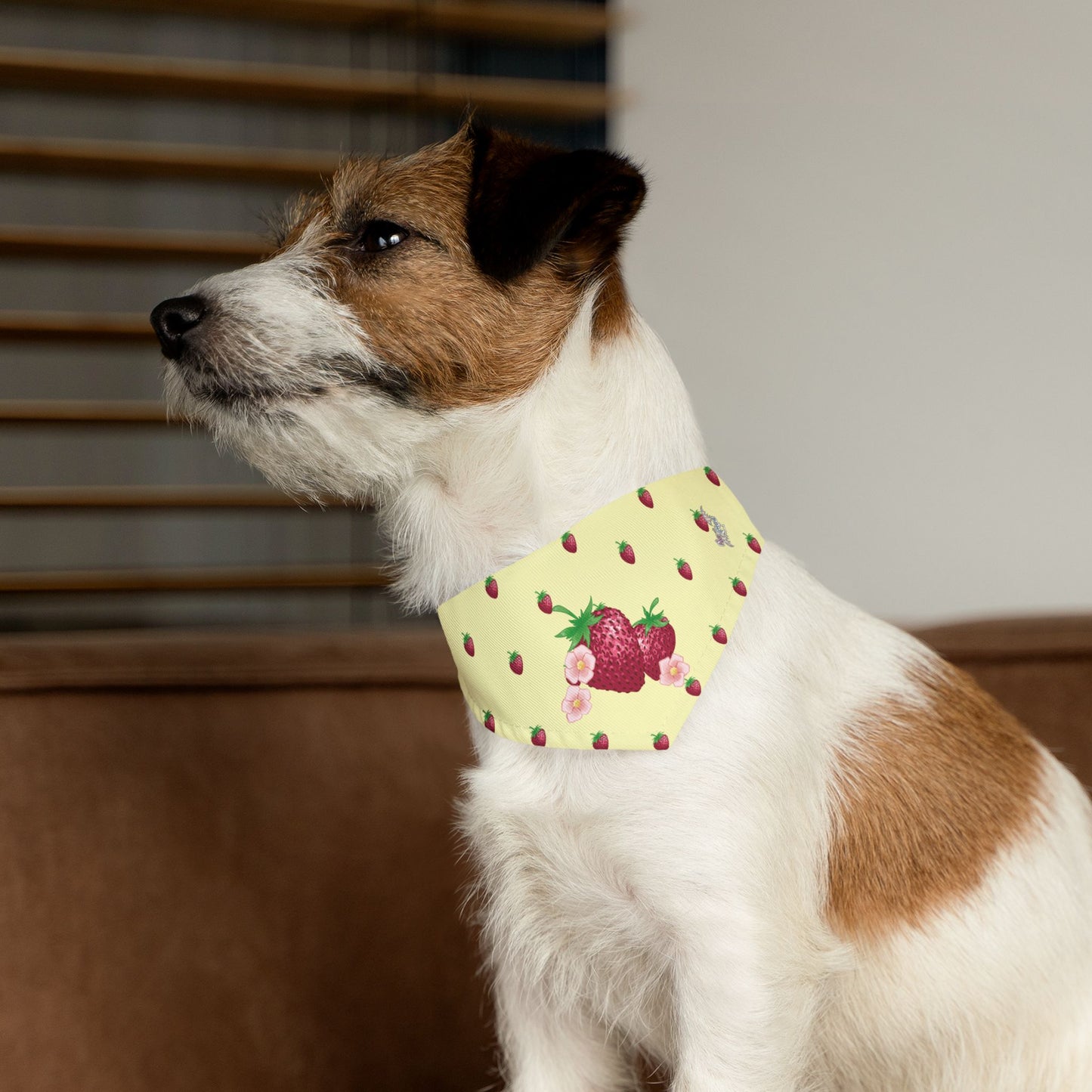 Strawberry Pet Bandana Collar