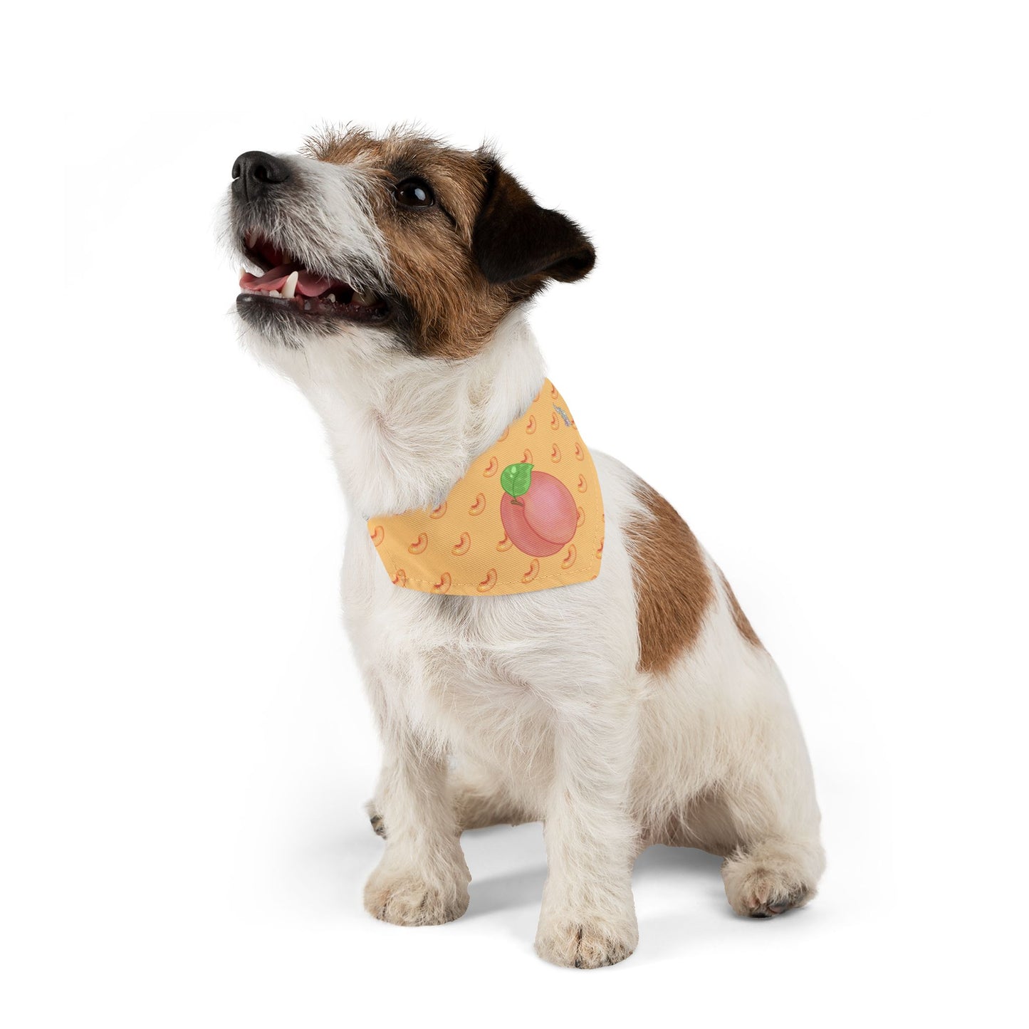 Peach Pet Bandana Collar