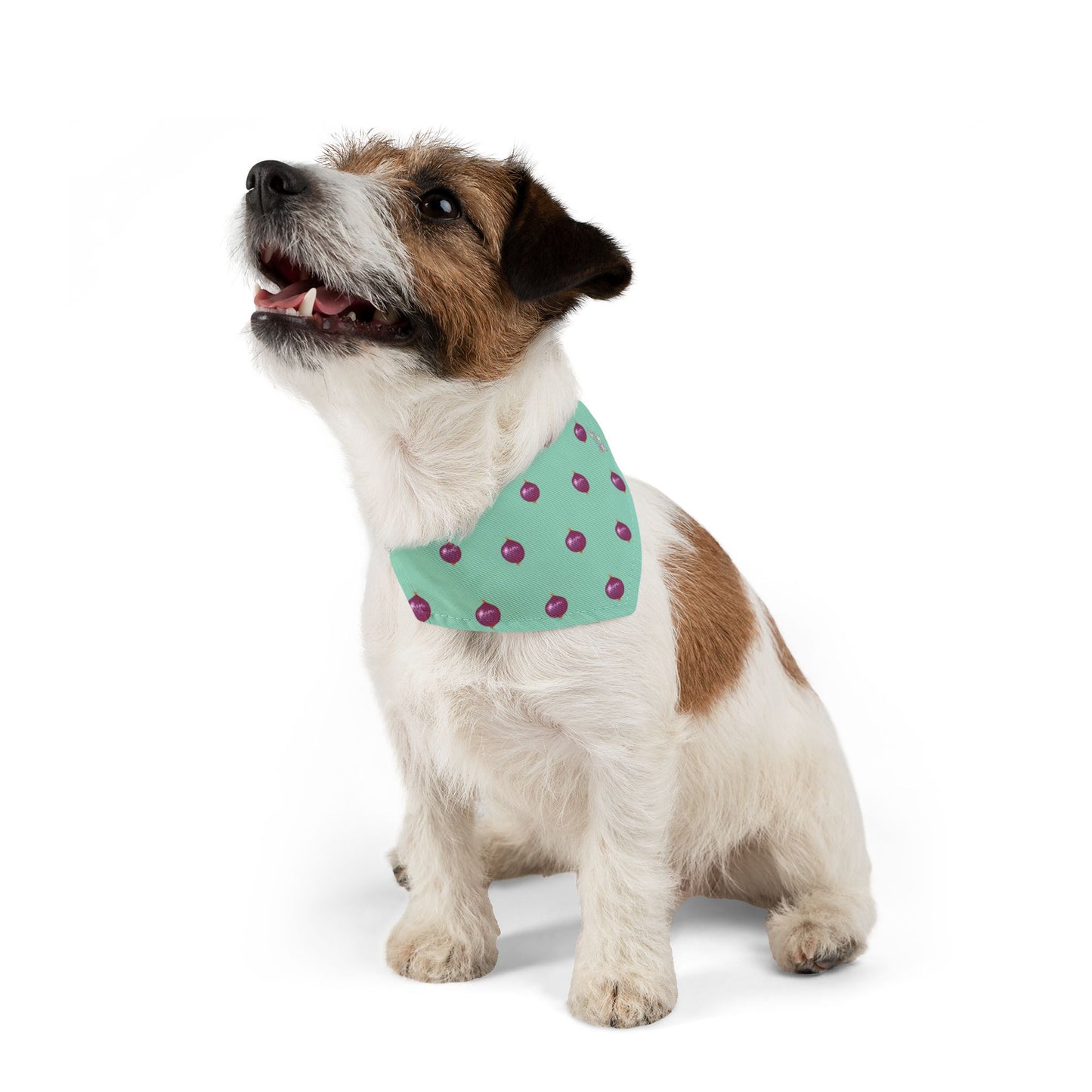 Onion Pet Bandana Collar