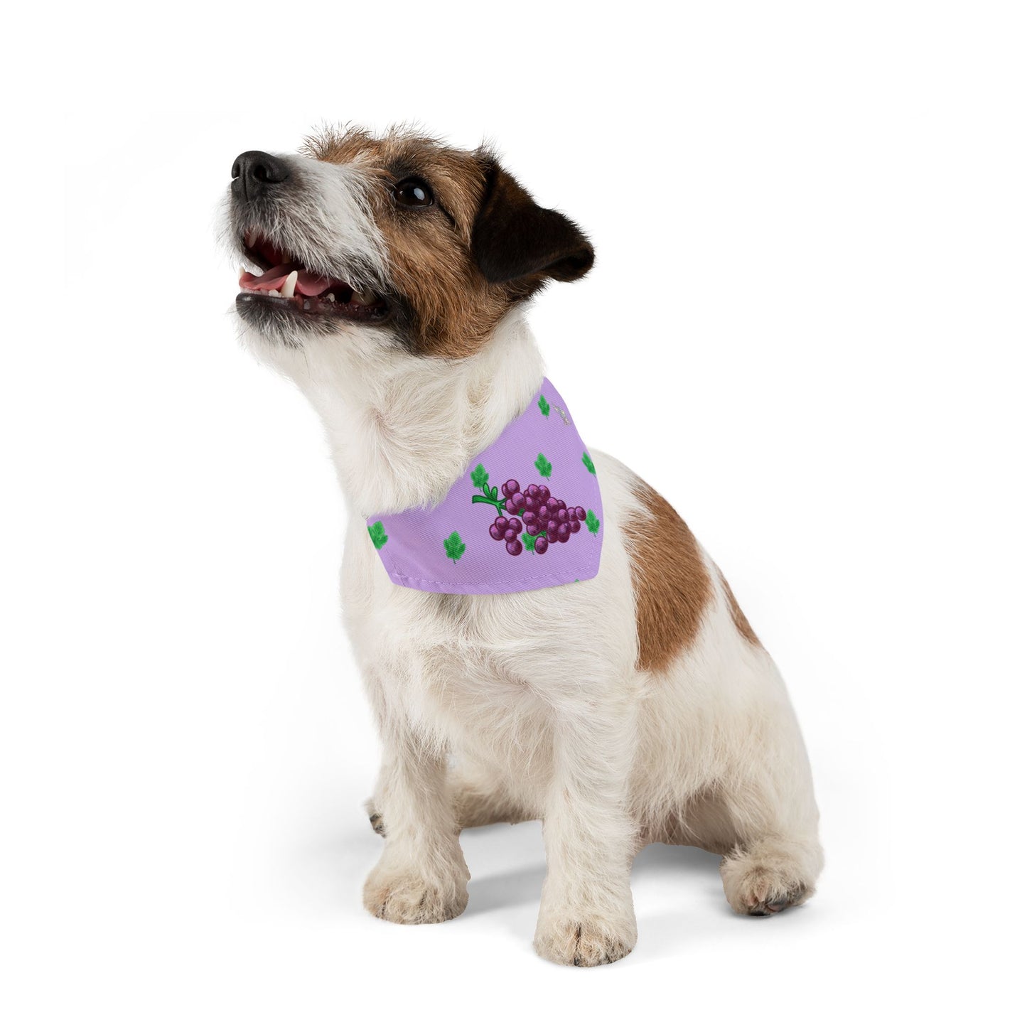 Grape Pet Bandana Collar