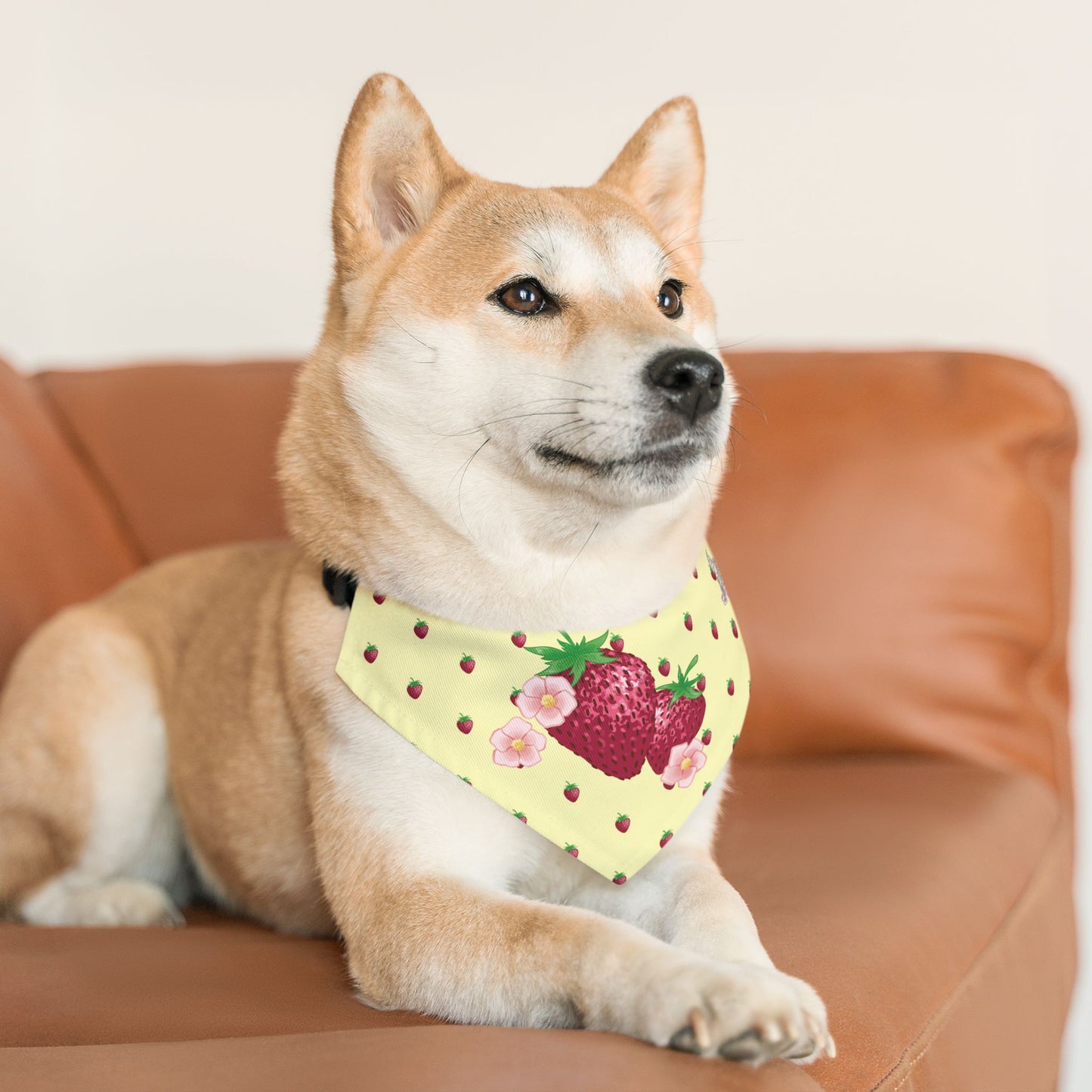 Strawberry Pet Bandana Collar