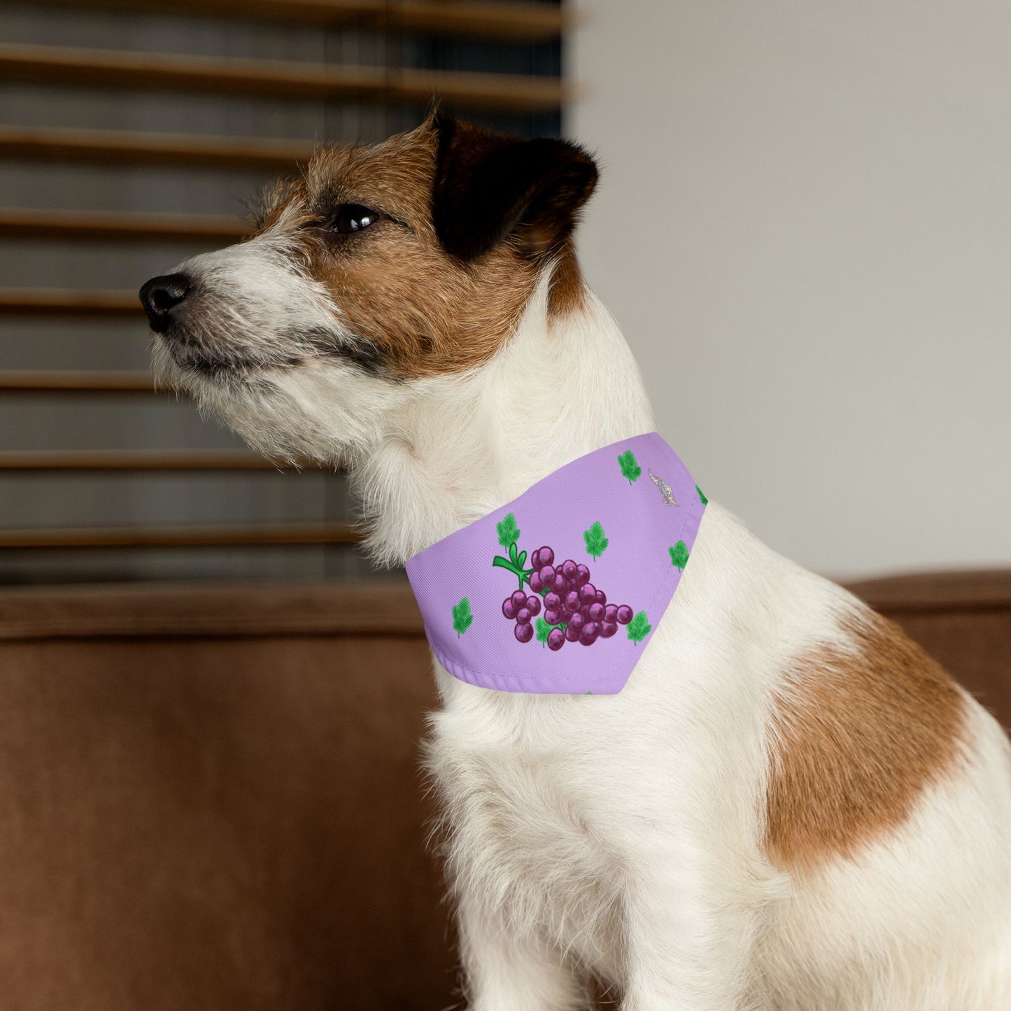 Grape Pet Bandana Collar