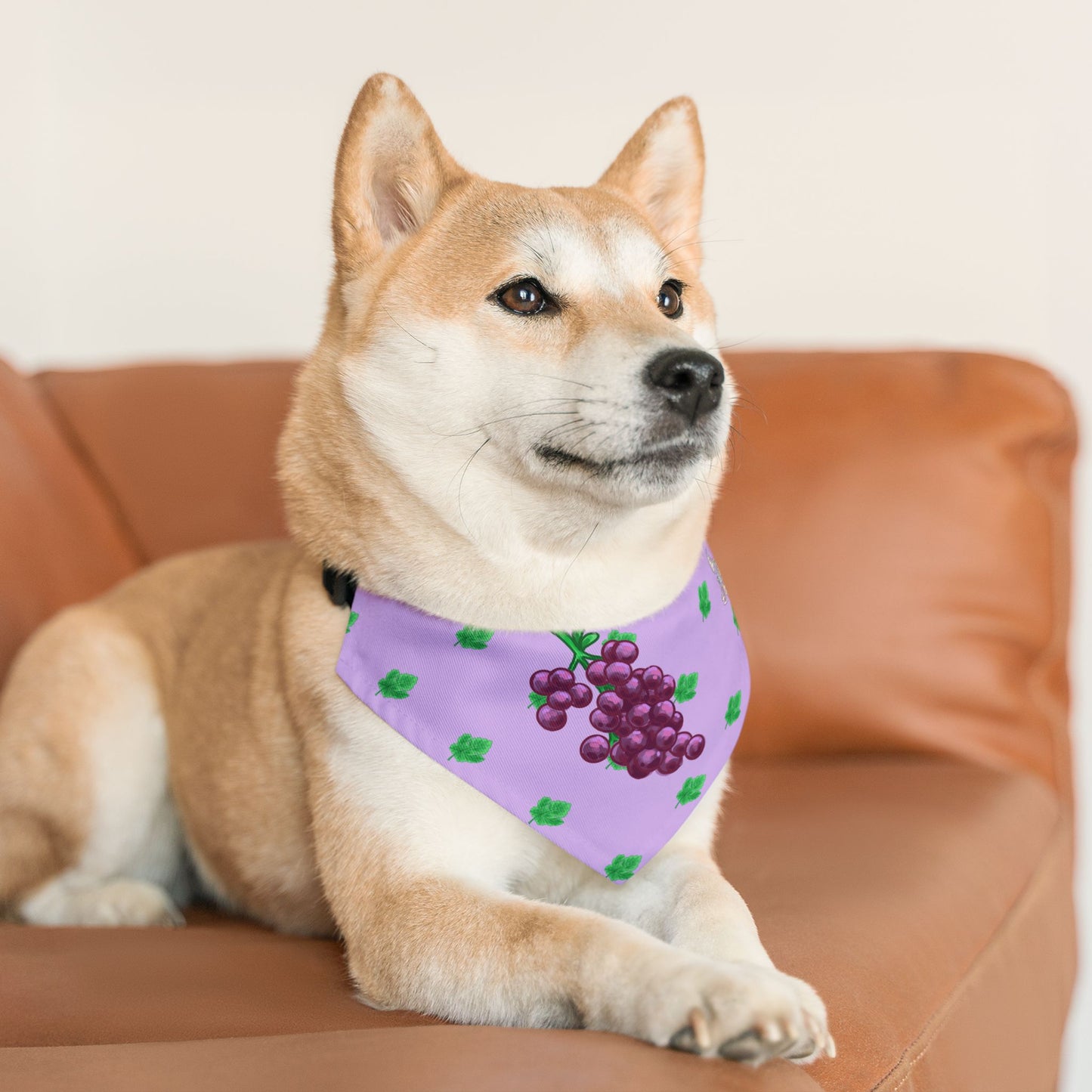 Grape Pet Bandana Collar