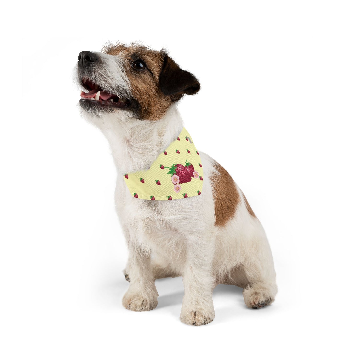 Strawberry Pet Bandana Collar