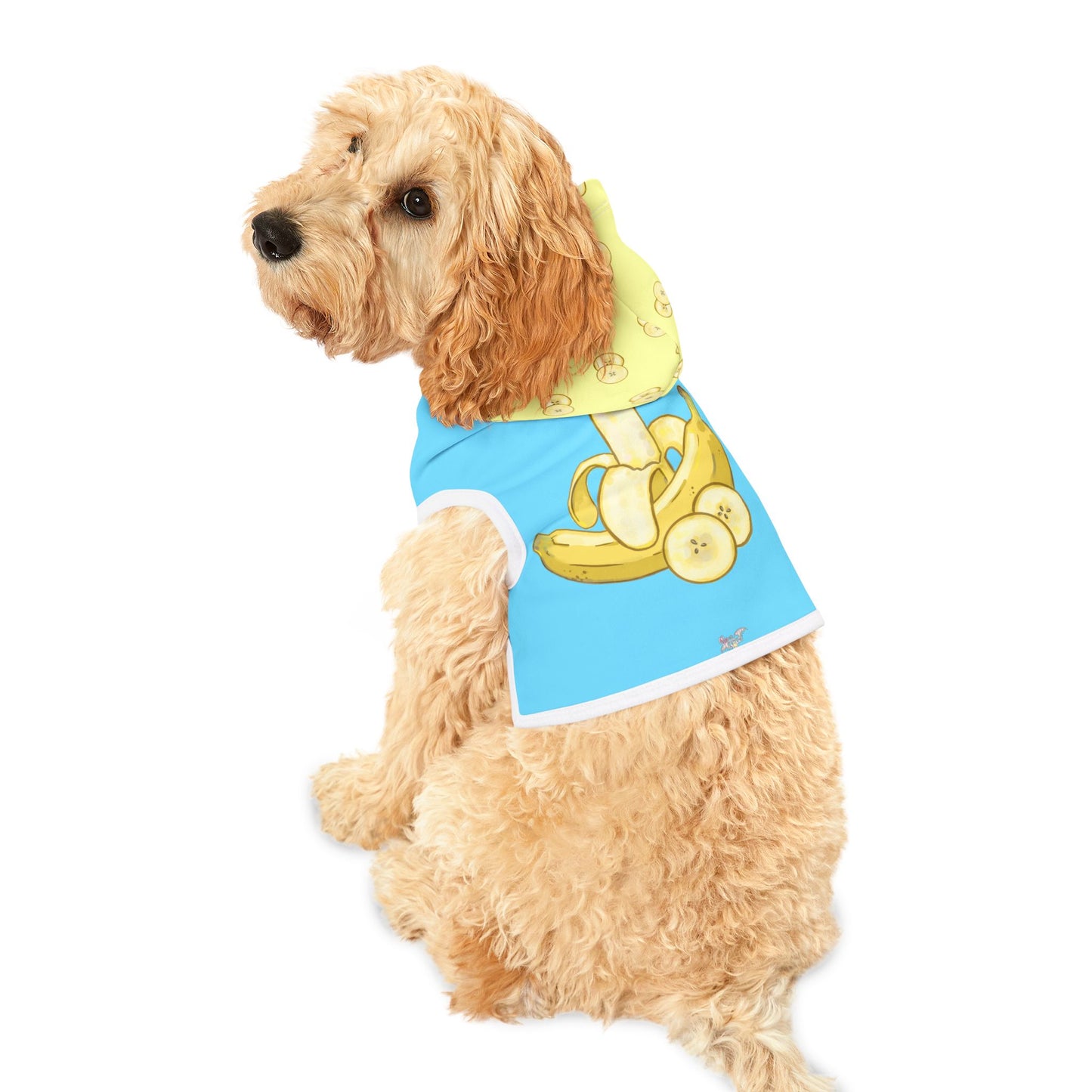 Banana Pet Hoodie