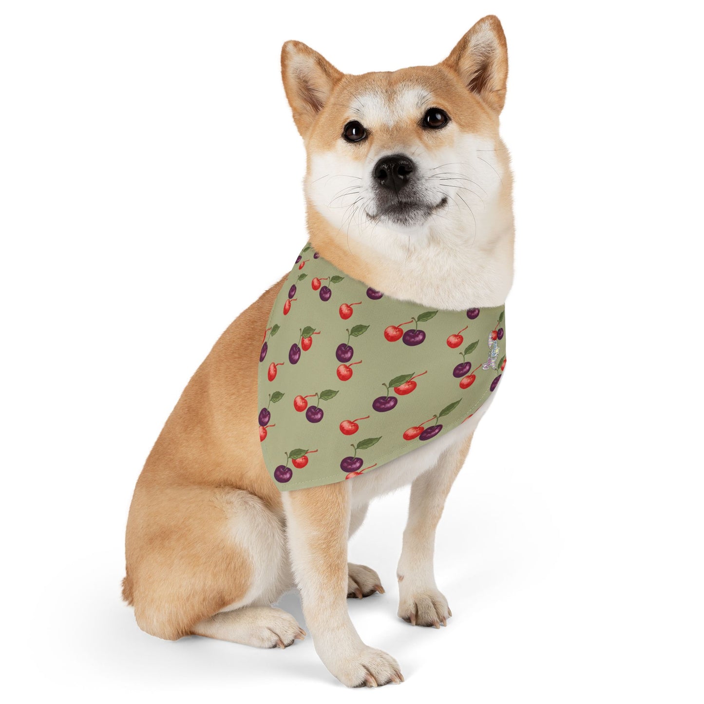 Cherry Pet Bandana Collar