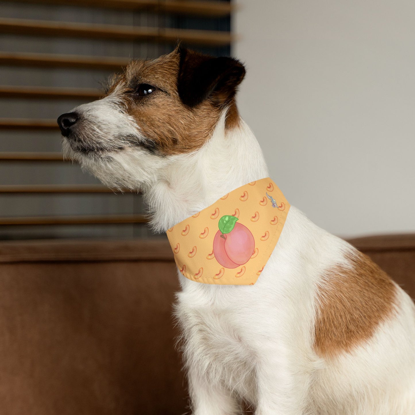 Peach Pet Bandana Collar