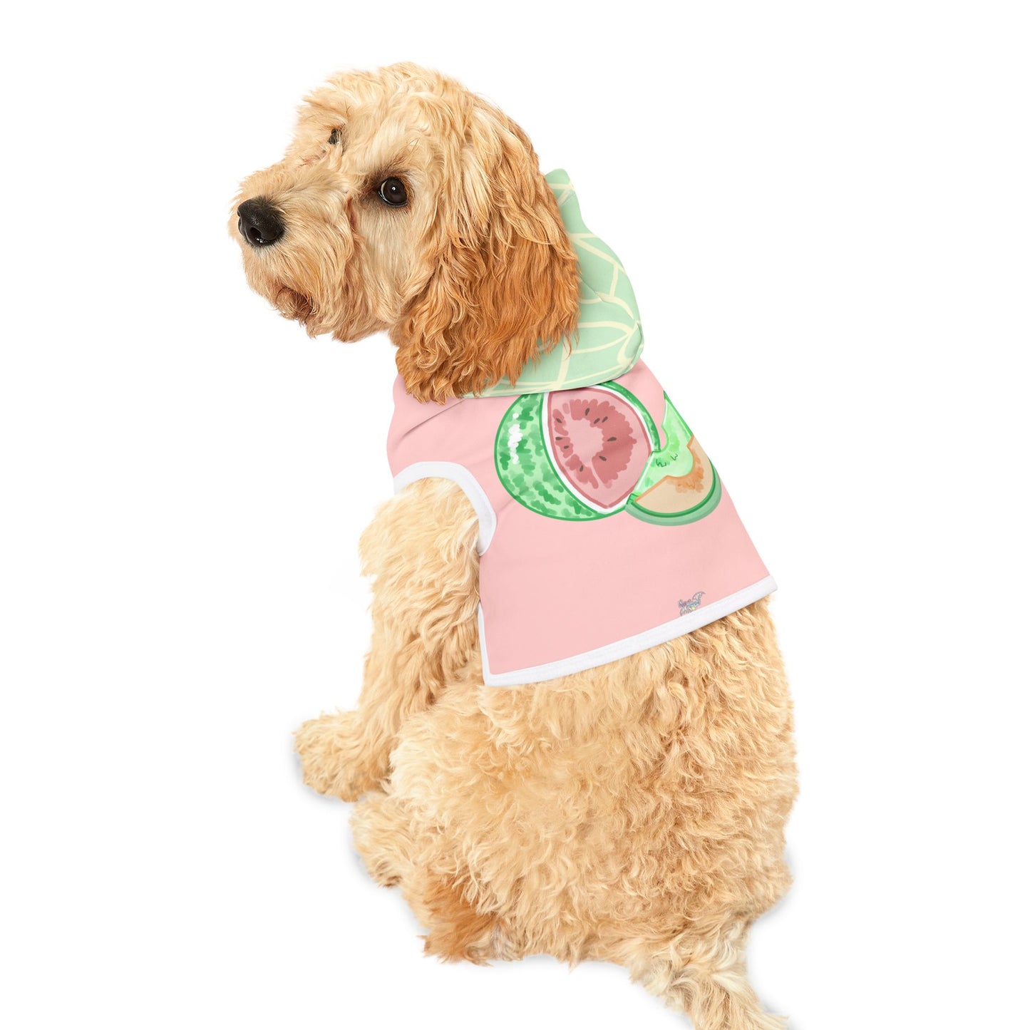 Melon Pet Hoodie