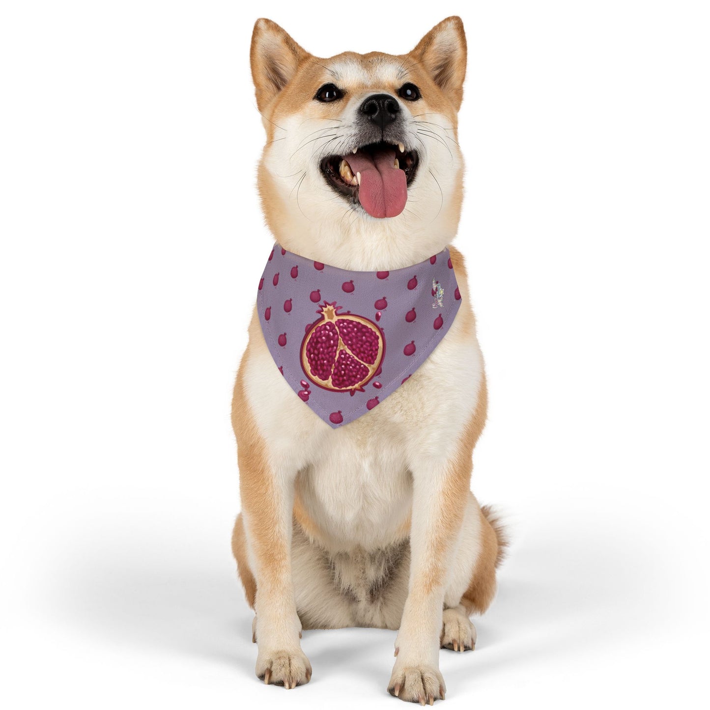 Pomegranate Pet Bandana Collar