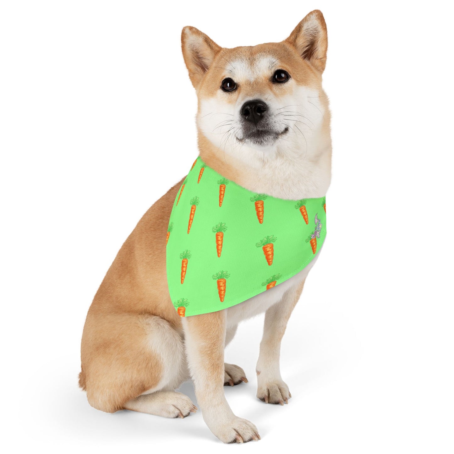 Carrot Pet Bandana Collar