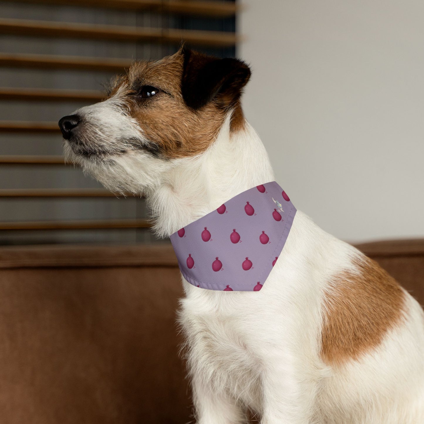 Pomegranate Pet Bandana Collar